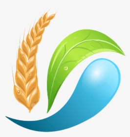 Logo Clip Art Wheat - Logo Design Agriculture Company Logo Png, Transparent Png, Transparent PNG