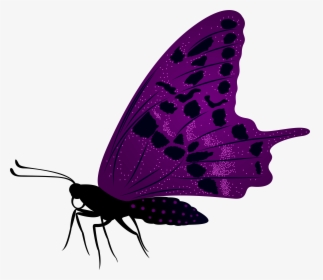 Large Purple Butterfly Png Clip Art Image, Transparent Png, Transparent PNG