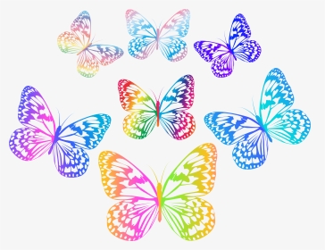 Decorative Multicolored Butterflies Png Clip Art - Multi Colored Butterfly Hd Png, Transparent Png, Transparent PNG