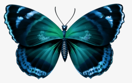 Free Png Download Blue Butterfly Clipart Png Photo - Png Free Butterfly Transparent, Png Download, Transparent PNG