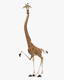 Giraffe Png - Madagascar Melman The Giraffe, Transparent Png, Transparent PNG