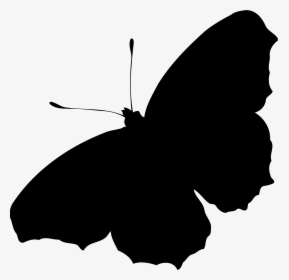 Transparent Butterfly Silhouette Clipart - Butterfly Silhouette Transparent, HD Png Download, Transparent PNG
