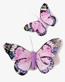 Pink Butterflies Png - Purple Pink Butterflies Transparent, Png Download, Transparent PNG