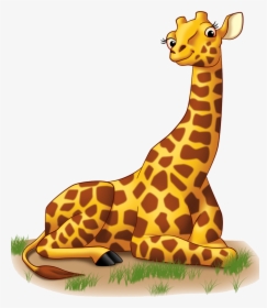 Cute Baby Giraffe Cartoon Here Is A Baby Giraffe As - Giraffe Clipart, HD Png Download, Transparent PNG
