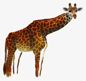 Giraffe By Procastinagoat Giraffe By Procastinagoat - Giraffe, HD Png Download, Transparent PNG