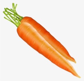 Carrots Png Clipart - Carrots Clipart Png, Transparent Png, Transparent PNG