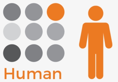 Human Png Orange, Transparent Png, Transparent PNG