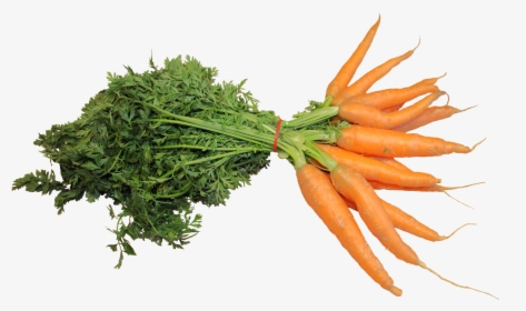 Fresh Carrot Png, Transparent Png, Transparent PNG