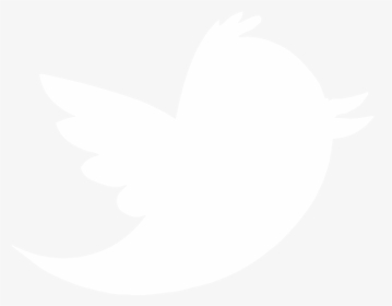 Black Transparent Twitter Logo - Twitter Bird, HD Png Download, Transparent PNG