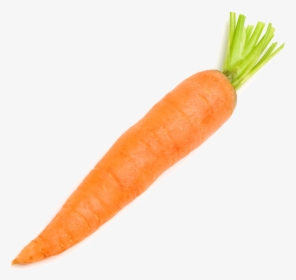 Carrot Vegetable Radish - Carrot On A White Background, HD Png Download, Transparent PNG