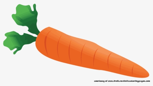 Carrot Clipart Single Vegetable Pencil And In Color - Carrot Clipart Png, Transparent Png, Transparent PNG