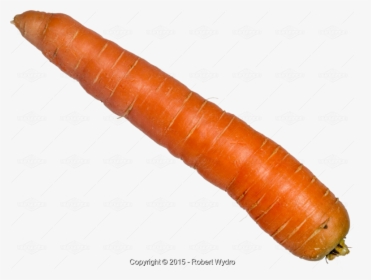 Carrot - Single Carrot Png, Transparent Png, Transparent PNG