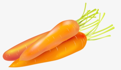 Carrot Cake Food Vegetable - Carrots Vector Png, Transparent Png, Transparent PNG