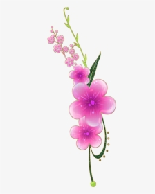 Png Flower Image Download, Transparent Png, Transparent PNG