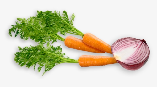 Glory Shot - Onion Carrot, HD Png Download, Transparent PNG