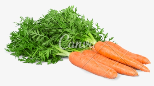 Carrot Bunch Png - Baby Carrot, Transparent Png, Transparent PNG