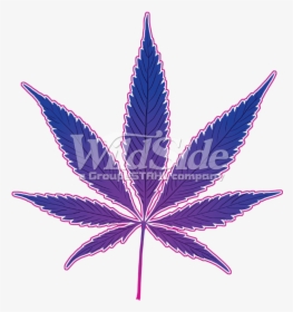 Marijuana Pot Leaf , Png Download - Marijuana Black And White Png, Transparent Png, Transparent PNG