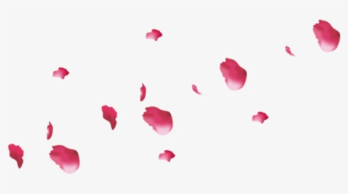 Pink Rose Petals Png , Png Download - Rose, Transparent Png, Transparent PNG