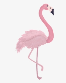 Flamingo, Animal, Zoo, Animal World, Bird, Feather - Gambar Hewan Flamingo Kartun, HD Png Download, Transparent PNG