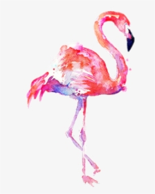 Flamingo Transparent Water Color - Transparent Background Flamingo Png, Png Download, Transparent PNG