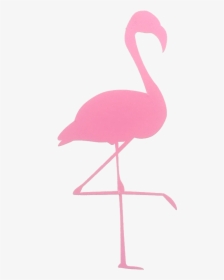 Pink Flamingo Transparent, HD Png Download, Transparent PNG