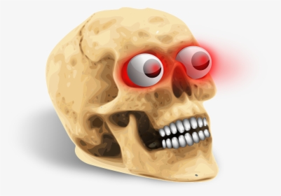 Human Skull, HD Png Download, Transparent PNG