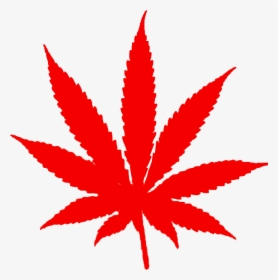Foglia Di Marijuana Png - Marijuana Leaf, Transparent Png, Transparent PNG