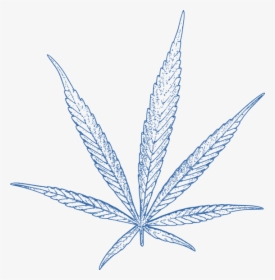 Cannabis Leaf Blue - Planta Cannabis Vector Free, HD Png Download, Transparent PNG
