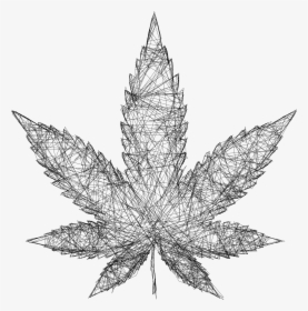 Cannabis Drawing Leaf - Wireframe Marijuana, HD Png Download, Transparent PNG