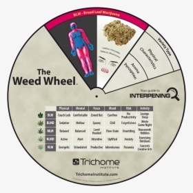 Weed Wheel, HD Png Download, Transparent PNG