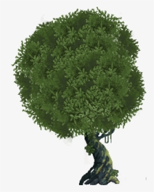 Tree Bushes Png , Png Download - Калина Куст Пнг, Transparent Png, Transparent PNG
