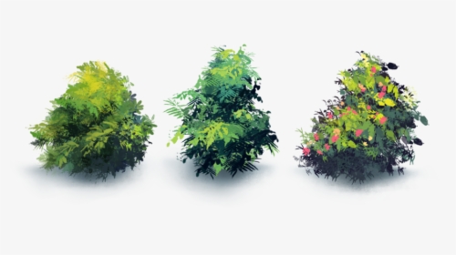 Naturemaster-bushes - Maple Leaf, HD Png Download, Transparent PNG