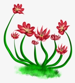 Flowers Red, Red Flower, Nature, Bushes, River, Levee, HD Png Download, Transparent PNG