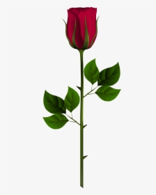 Red Rose Bud Png, Transparent Png, Transparent PNG