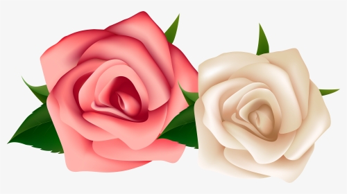 Red And White Rose Png Clipart , Png Download - Red And White Rose Clipart, Transparent Png, Transparent PNG
