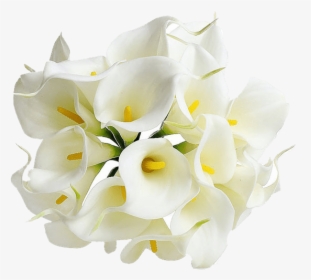 Flowers Mala Png - Calla Lily Flower Png, Transparent Png, Transparent PNG