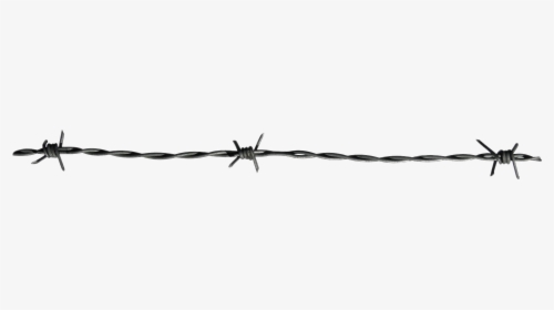 Barbed Wire Single Thread - Barbed Wire, HD Png Download, Transparent PNG