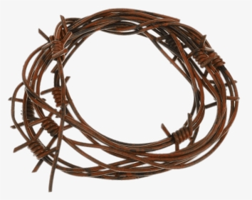 Barbed Wire Fake - Barb Wire, HD Png Download, Transparent PNG