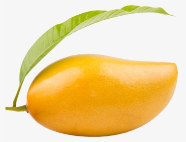 Mango Png Clipart - Png Image Of Mango, Transparent Png, Transparent PNG