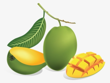 Download Green Mango Png - Green Mango Png, Transparent Png, Transparent PNG