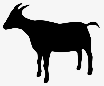 Goat - Goat Svg, HD Png Download, Transparent PNG