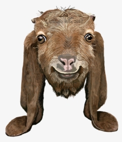 Brown Goat Long Ears, HD Png Download, Transparent PNG