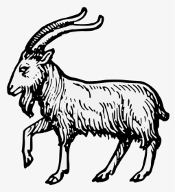Goat - Goat Passant, HD Png Download, Transparent PNG