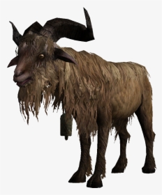 Goat, HD Png Download, Transparent PNG