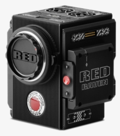 Red Raven Brain 1 Og - Red Raven Camera, HD Png Download, Transparent PNG