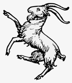 White Goat Coat Of Arms, HD Png Download, Transparent PNG