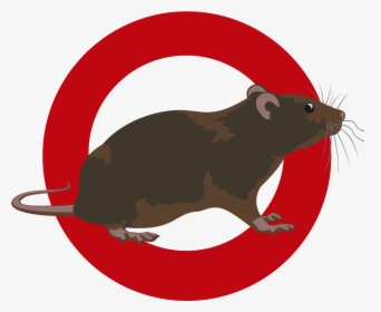 Clipart Rat Pest Control - Mouse, HD Png Download, Transparent PNG