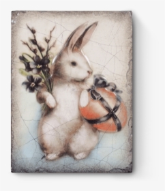 Snowshoe Hare, HD Png Download, Transparent PNG