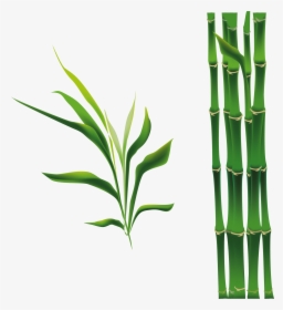 Bamboo Bamboe Drawing - Cartoon Bamboo Png, Transparent Png, Transparent PNG