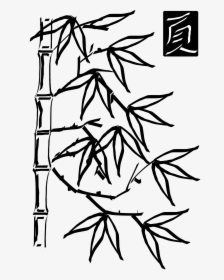 Freehand Bamboo Clip Arts - Bamboo Clipart Black And White, HD Png Download, Transparent PNG